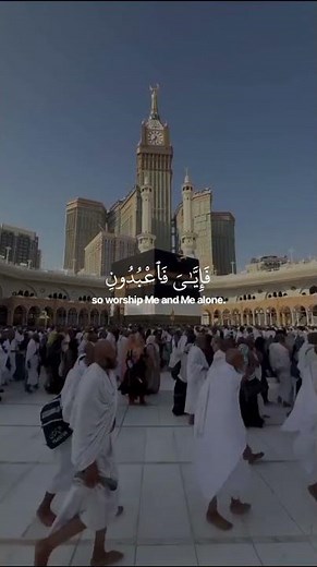 يا عبادي الذين امنوا _ تلاوة القارئ عبدالرحمن مسعد {سوره العنكبوت} #قرآن #قران_كريم #عبدالرحمن_مسعد