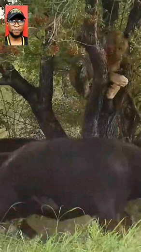 4.2K views · 49 reactions | Concept Media Studio on Reels | Facebook