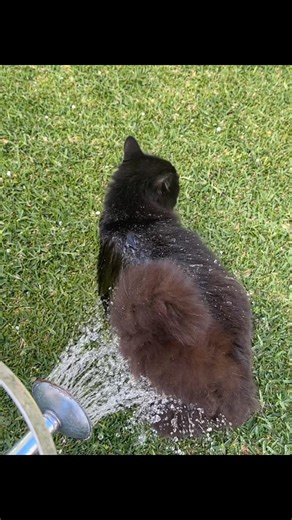 First thing leaving the house. | PabLo