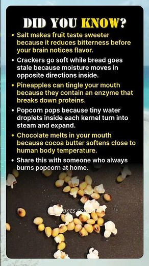 Why Popcorn Suddenly Explodes Open