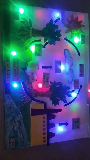 Carbon Cycle Working Model #kidsprojects #projects #science #scienceproject