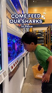 Come feed the sharks 🦈💦 From July 20–27, stop by your Petco to meet our freshwater “sharks,” and even feed them yourself 🐟✨ It’s FREE, fun for all ages, and yep, there are goodies too (while they last!). | Petco