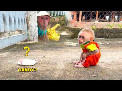 Everyone Was Surprised by CUTIS’ Meaningful Lesson for BUEM