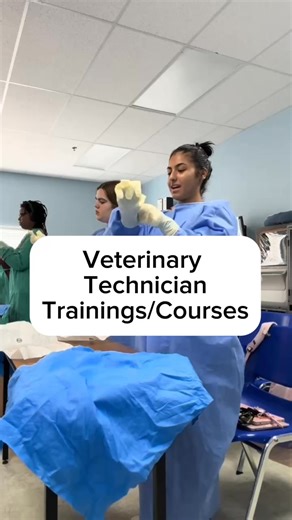 40K views · 140 reactions | Read more about Veterinary Technician Trainings/Courses | The Learning Compass | Facebook
