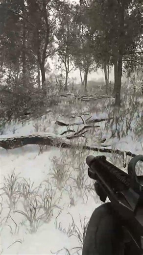 Woods | Hidden Cache | UN Roadblock | #EFT #escapefromtarkov #guide