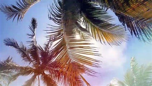 Float Bande-annonce (EN)