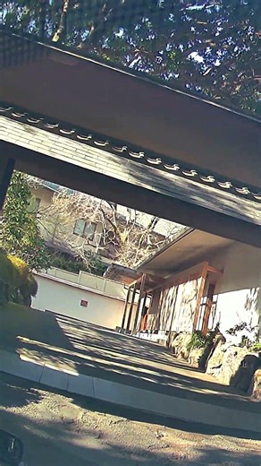湯河原 海石榴 Part1｜到着シーン｜Tsubaki Ryokan Arrival 4K Vertica