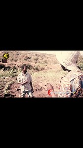 Chamdothi highlights ✨️ ep 2 #malawismostfollowedpage #McCaleb #recommendations #livingmybestlife | Caleb Mc