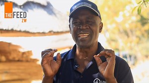 67 reactions · 10 comments | #DidYouKnow lithium mining is a major driver for Zimbabwe's economic growth? However, it also poses serious environmental challenges as the extraction process impacts water resources and biodiversity #ClimateInAMinute #TheFeedZW | The FeedZW | Facebook