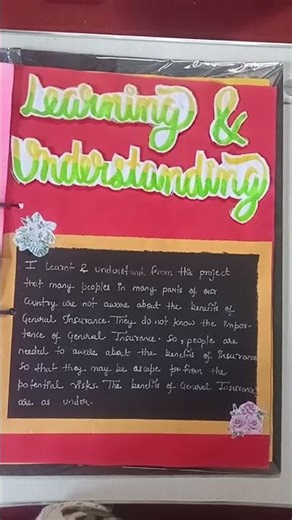 Class 12 Insurance practical file on General Insurance ✨😊