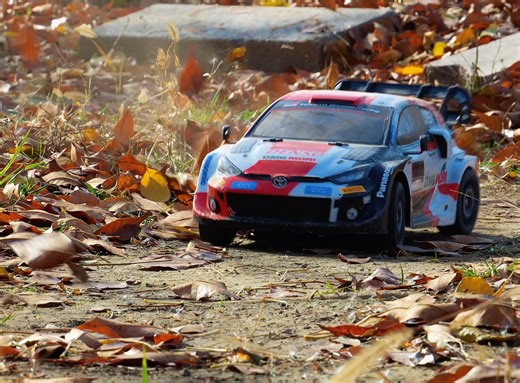 秋天和拉力很配哦