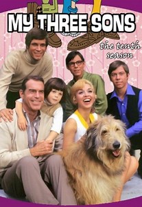 My Three Sons - Seizoen 9 (1968-1969) - MovieMeter.nl