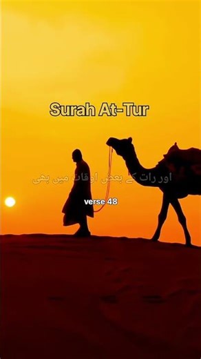 Surah At-Tur verse 48.🌙 Every verse of Quran is a guide to the soul #quran_alkarim