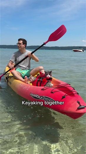 One of the most commonly asked questions we get is “how Louie & Todd never run away”. They do wander off occasionally when I let them off leash but know they’re safest around me so they never venture off too far. They also wear their @Tractive Pet GPS cat gps trackers on all adventures so I always have peace of mind in case something were to happen. 🔗Use code LOUIETODD40 at the link in our bio to get 40% off Tractive’s pet gps tracker #tractivepartner #cats #adventurecat #tractive #petgpstracke