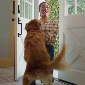 For tasty ‘n tail waggy combinations that you ‘n your dog will love, there's Kibbles ‘n Bits. | Kibbles 'n Bits