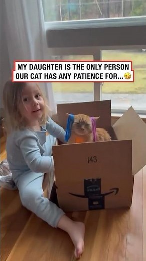 So Cute… So Dumb 😂🐱 – Funny Cats #172