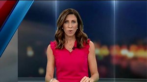 Mosquito fogging to begin in parts of Winnipeg to reduce West Nile Virus risk