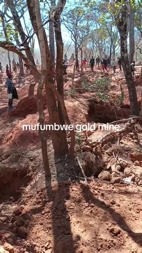 Teddy mining (@teddyjaiice)’s videos with original sound - Teddy mining