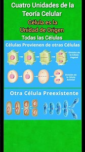Four Units of Cell Theory #biology