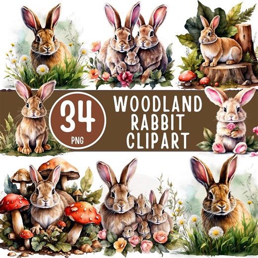 Woodland Rabbit Clipart Bundle, 34 PNG Forest Bunny Art (digital Download) - Etsy