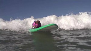 CHECK OUT COPPERTONE VIDEO,.Woohoooooo! | Coppertone Surf Dog, Macho and Dude