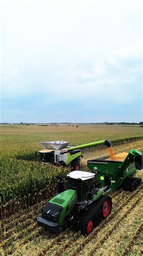 Testing Combine Harvester in Action