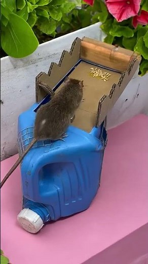 Mouse-catching artifact (2), easy to catch mice #rat-catching artifact #creative #CATCH Mouse # Rat