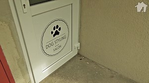 3.6K views · 699 reactions | Dziękujemy OGROMNIE klientom Dog Styling...