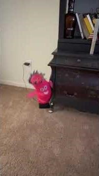 PINK AIR DANCER!!!!!!!!!