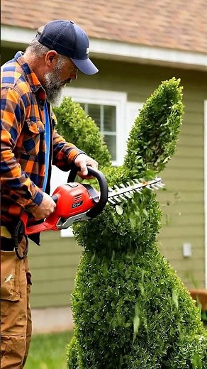 Creative Topiary Art ✨ Growing A Giant Rabbit Garden Sculpture #gardening
