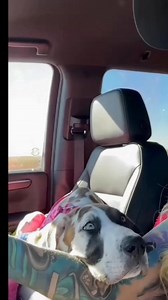 54K views · 4.2K reactions |  Breaking News from Cell Block C ...