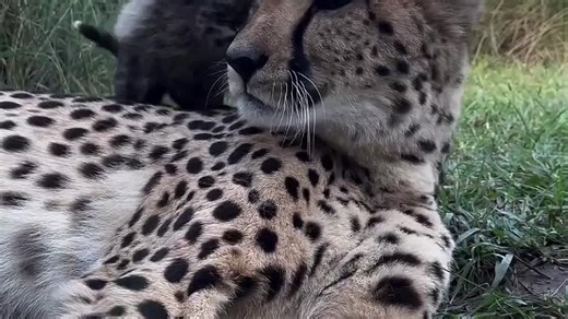 7f9bbe84a7987d93d9fc2bd586fcbbf8_526513_1764789016