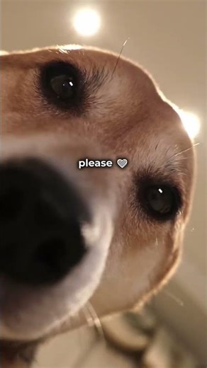 Glasses discounts on Cheelee! 👓 Choose your pair in the Market — link in bio 🌶️