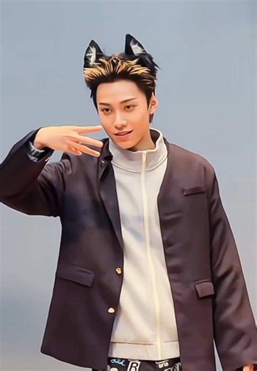 Meow Meow Sounds Compilation for Cat Lovers