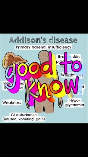 Addison's Disease #anatomyvideos #addisonsdisease #endocrinesystem