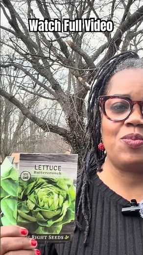 The Best Fertilizer for Lettuce & Spinach 🌿