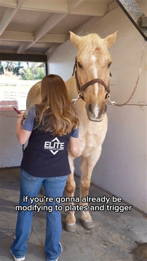 When a Horse Responds to Higher Frequency | Bilateral Spinal Protocol Explained 🐴⚡️