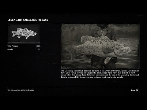Legendary Smallmouth Bass Location / How To Catch Legendary Smallmouth Bass In Red Dead Redemption 2