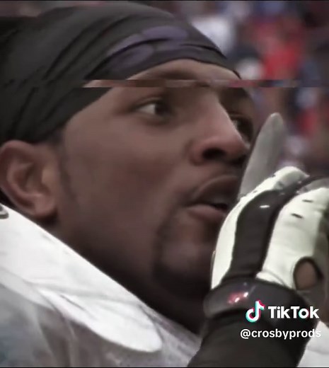 Ray Lewis: The Ultimate NFL Hit Stick