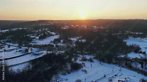 Winter forest tree snow sunset on panorama view with forest trees covered snow