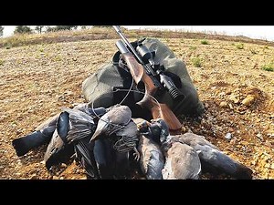 Pest Control With My .22 BSA R10 SE Full Power Air Rifle #bsaairrifle #pestcontrol