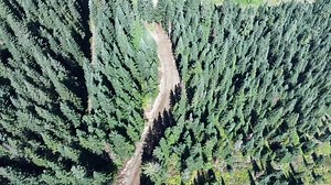 4.5K views · 84 reactions | Wildside isn’t the only big improvement...