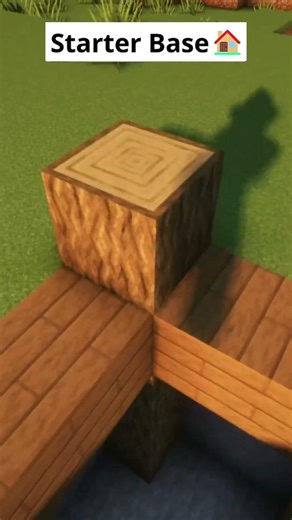 Minecraft Starter Base