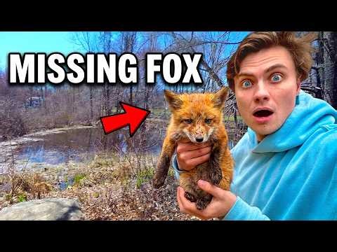 Found Missing Baby Fox In The Forest (Alone and Thirsty) *HAPPY ENDING*