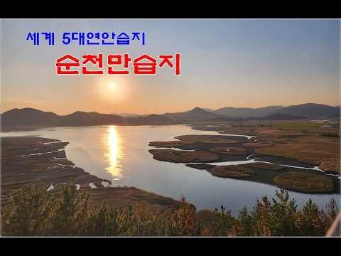 2023 11 13 순천만습지