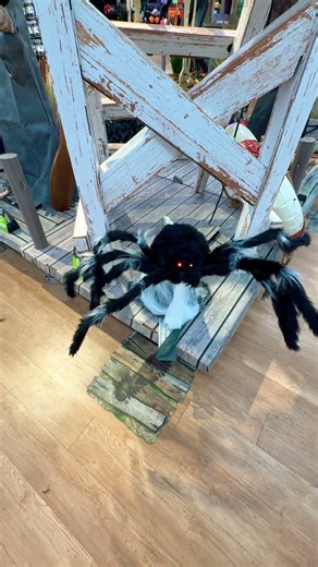 Checking out my local spirit Halloween stores jumping spider animatronic. Halloween 2026.