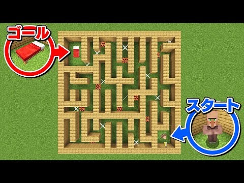 [Minecraft] Are Villagers Smart? Testing to See If They Can Solve a Maze