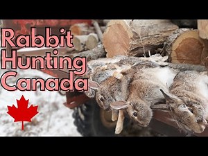 Rabbit Hunting in Canada