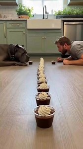 1.7K views · 25 reactions | . “Seconds Mein Finish! Chocolate Challenge Go #viralreelschallenge2025viralreelschallengejaiviralreelschallengeviralreelschallengene Wild” # | Thompson fff | Facebook