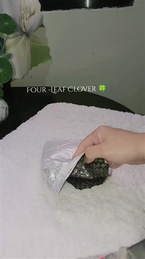 Discover the Magic of Four-Leaf Clovers